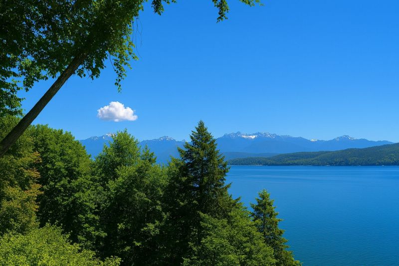 Best Tub To Shower Conversion pros in Sequim, WA