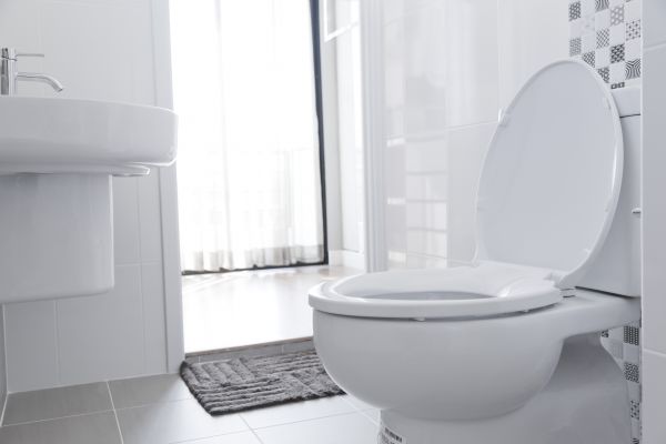 Cost of Toilet Relocation in Sequim